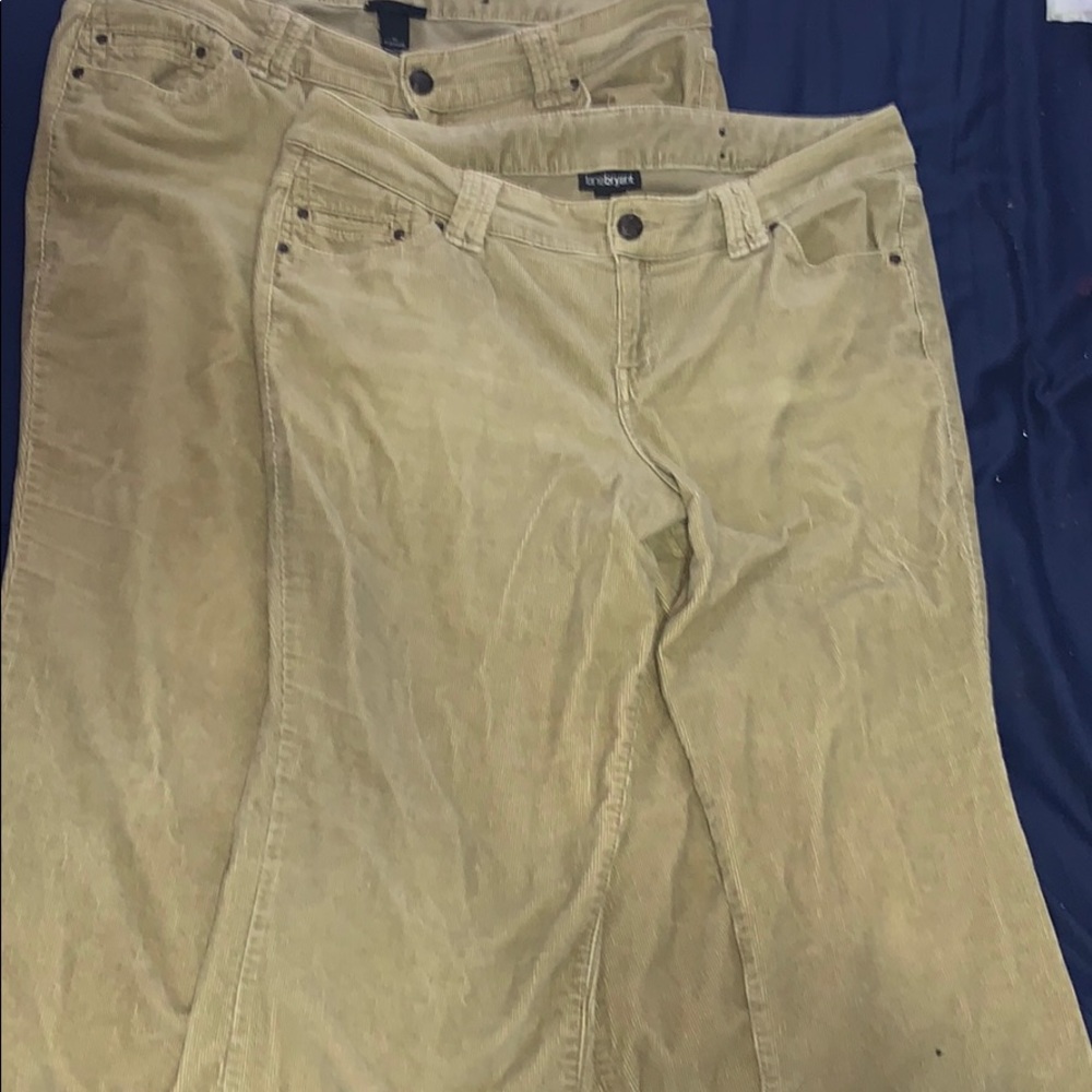 Beige Lane Bryant pants